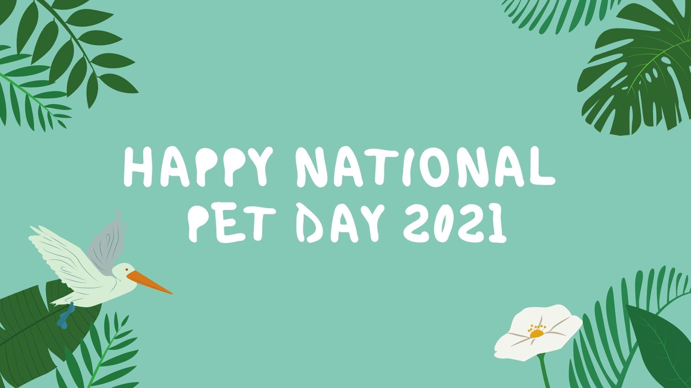 National Pet Day 2021  – April 11th