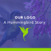 Our Logo- Global YNS hummingbird