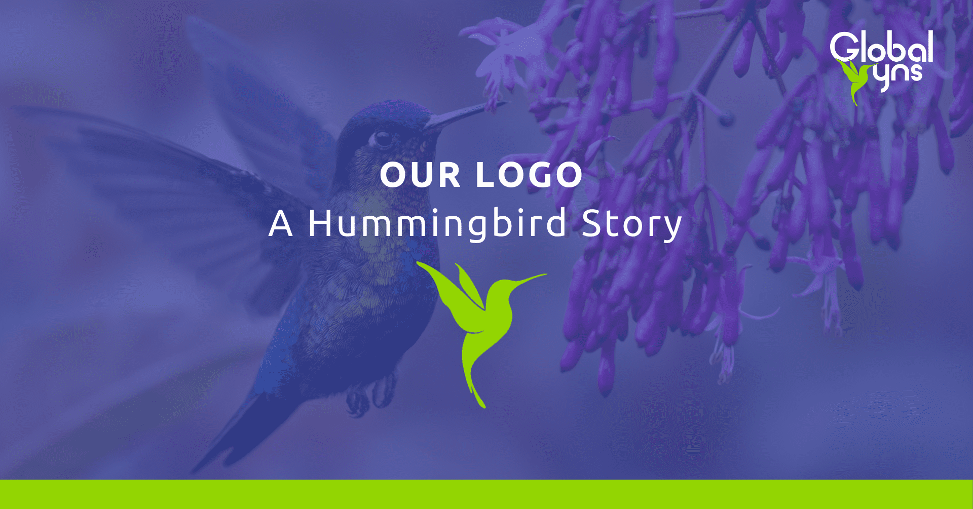 Our Hummingbird Story