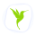 Global YNS